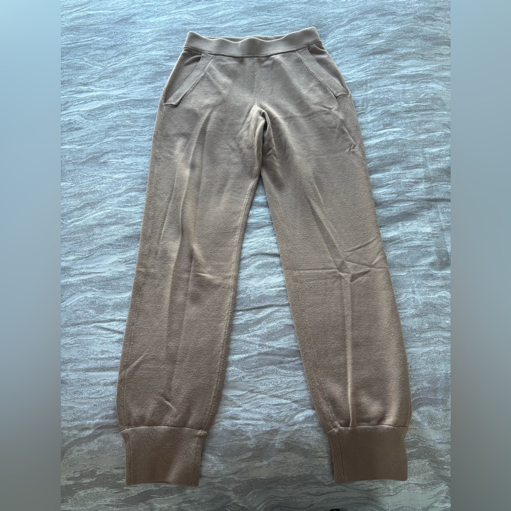 Aritzia Babaton Cashmere Joggers